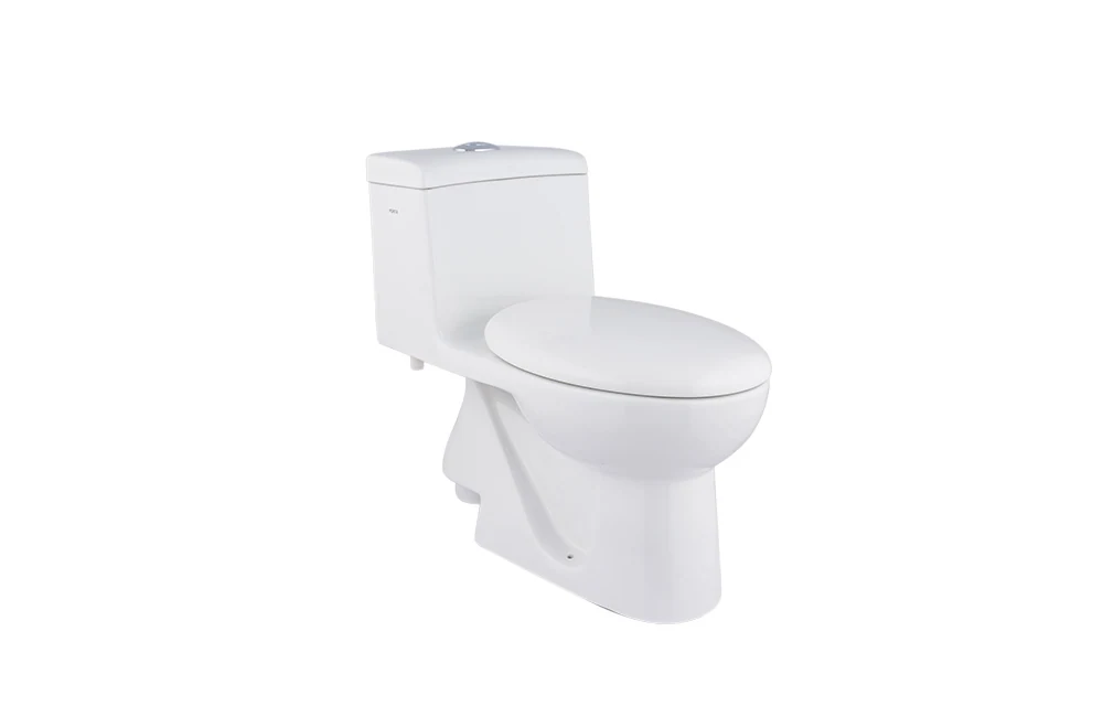HD100N One Piece WC